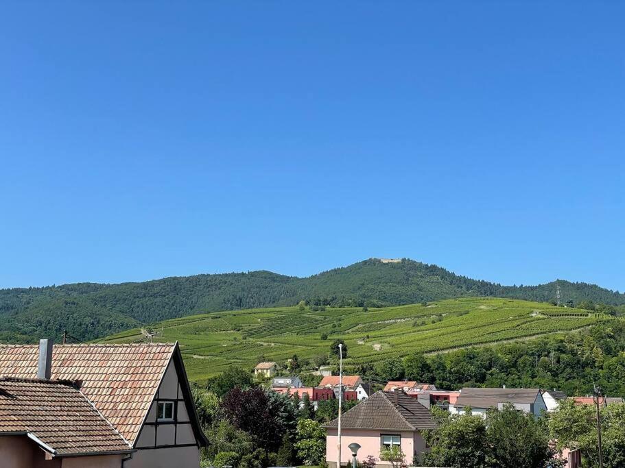 A2 Pas De Colmar Terrasse,Parking Apartment Wintzenheim Luaran gambar